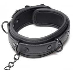 Collared Temptress | Collar with Nipple Clamps | from Master Series