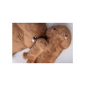 Penis Plushie Toy | 8 or 12 inch | Flesh, Brown or Multi Coloured | from Shots Toys